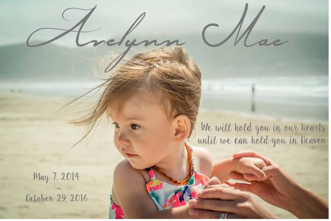 14859755_10211174494702082_2856090874380857389_o