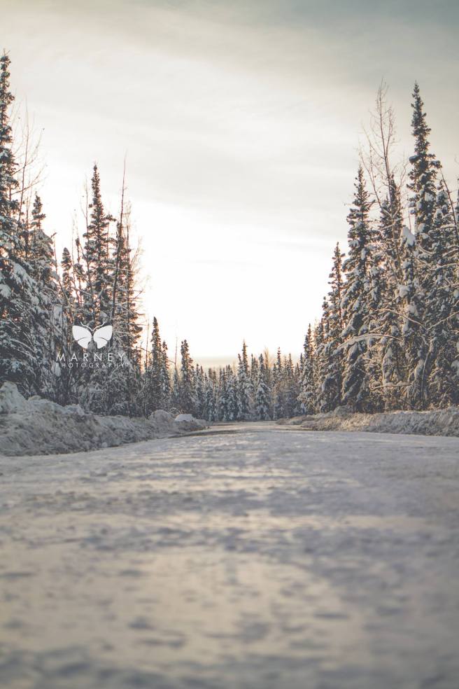 16423038_1747811425534550_5894203082974755456_o