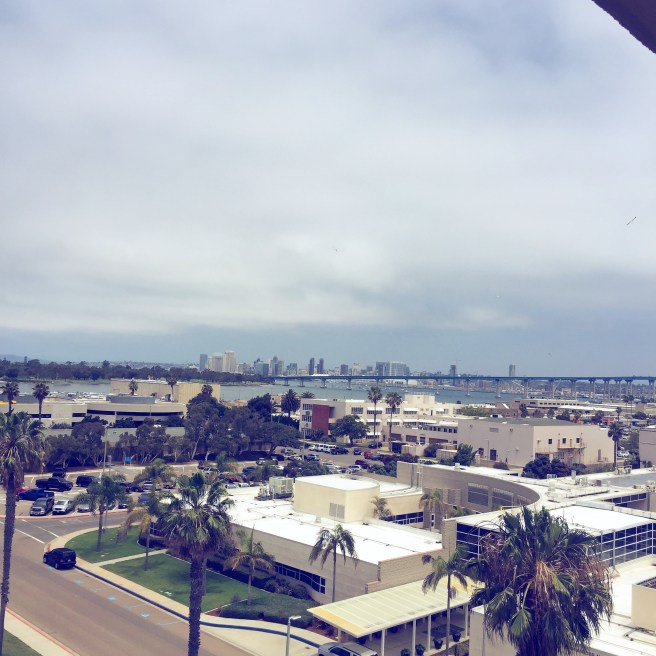 coronado hotel view