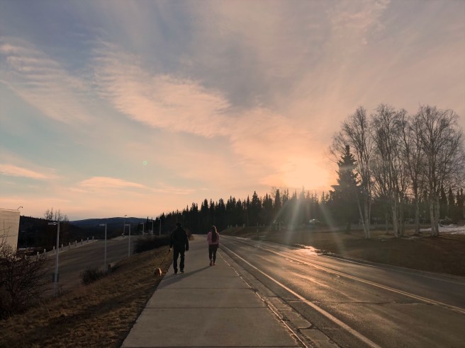 1c9adee2-2da1-42ef-a18d-0c2aceff4576