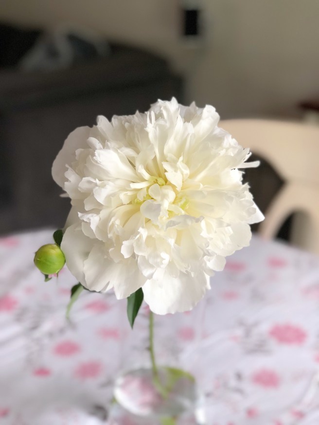 7925ee72-efd8-4a76-ae09-67cd6982f92b