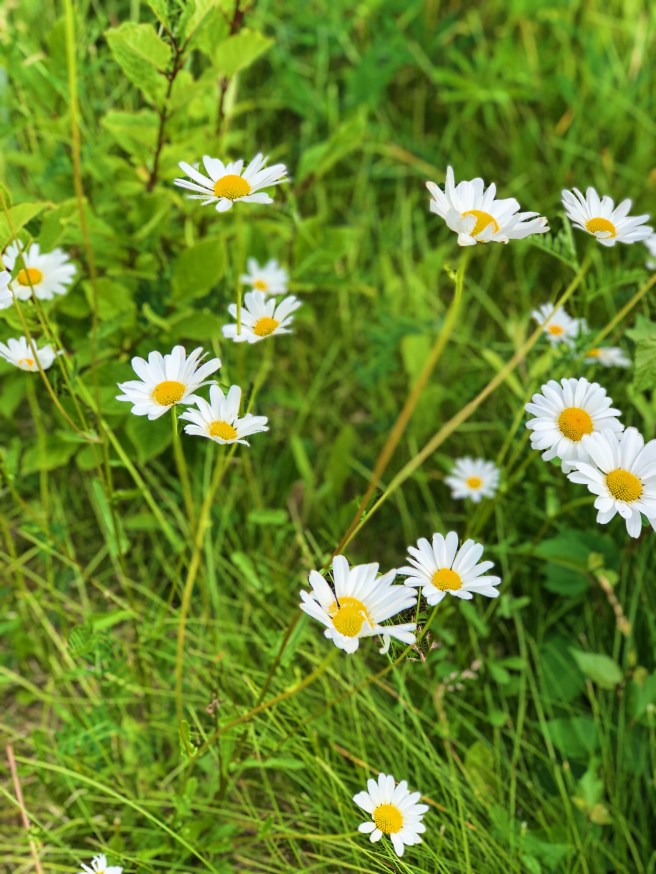 807ec132-cdc6-44de-b80d-1bc749668159