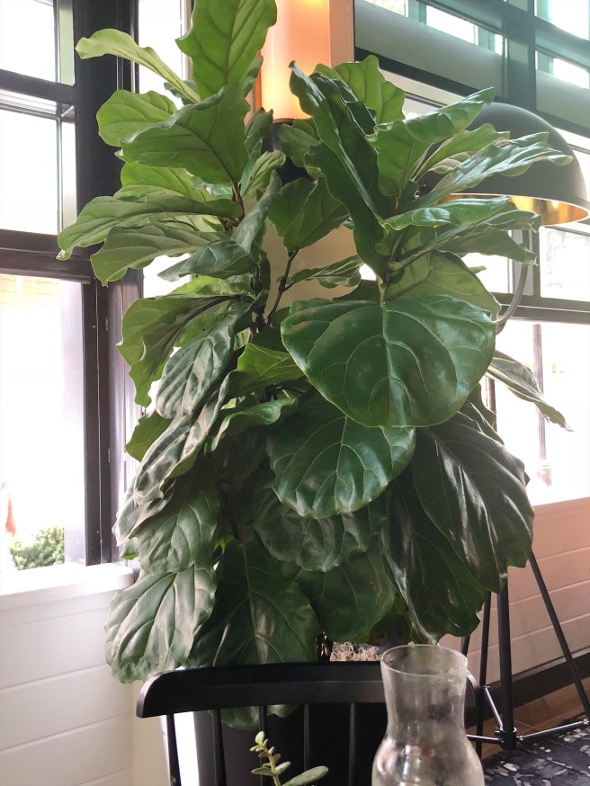 8b25c80e-4f20-4f3d-883b-a9af082133fa