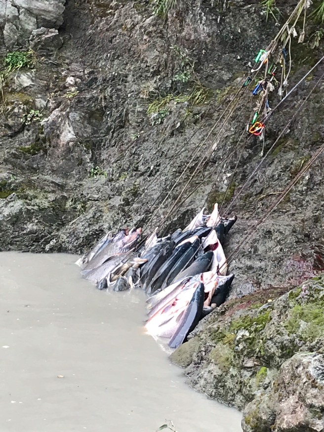 d8fe5a29-c5f4-47b4-bf7b-9d48eace4bcc