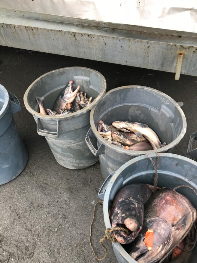 f89863d0-8a75-41e2-b6fd-564c636b7162