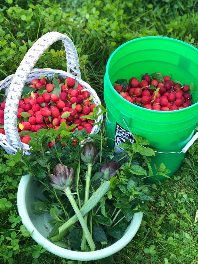 0031ffcb-8dcc-4158-aa5e-9a834383a923