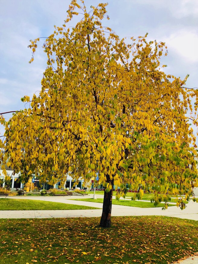 05b0c580-aecd-4183-9b77-b927d5cf494b