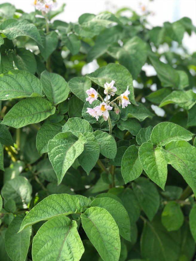 07b3a737-aa76-4c43-9b40-c90c0bf259e3-1