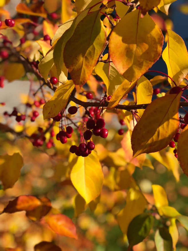 0ae7a2d6-8907-4575-aa72-54a3e5aa8b9e