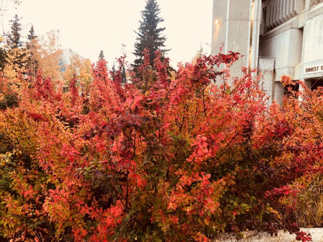 26121e93-a91e-4eb6-be45-ef19dafcecef