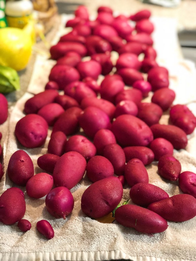 2e2e6ac6-35a0-4478-ad27-6a782e6bb47c