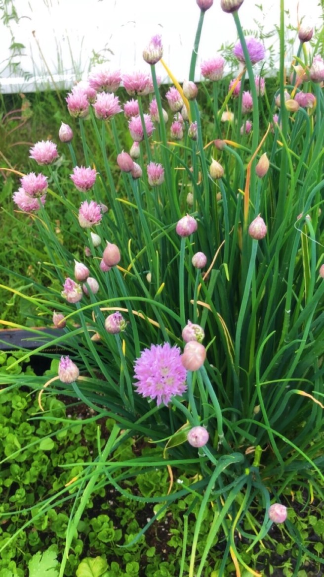 33979f12-5b2d-4f66-b6af-0fdfdee92f27-1