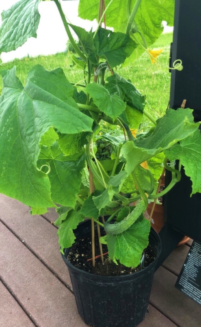 3bdfe3e2-bf4f-49b7-976c-4be7ca24b2b1-1