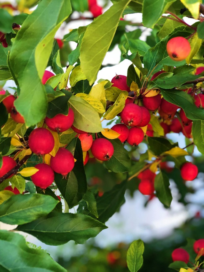 424ae4d6-b439-4a81-9a30-51818806de5d