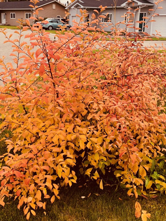 45ce3952-5f0e-46b6-9bf9-d4092e286901