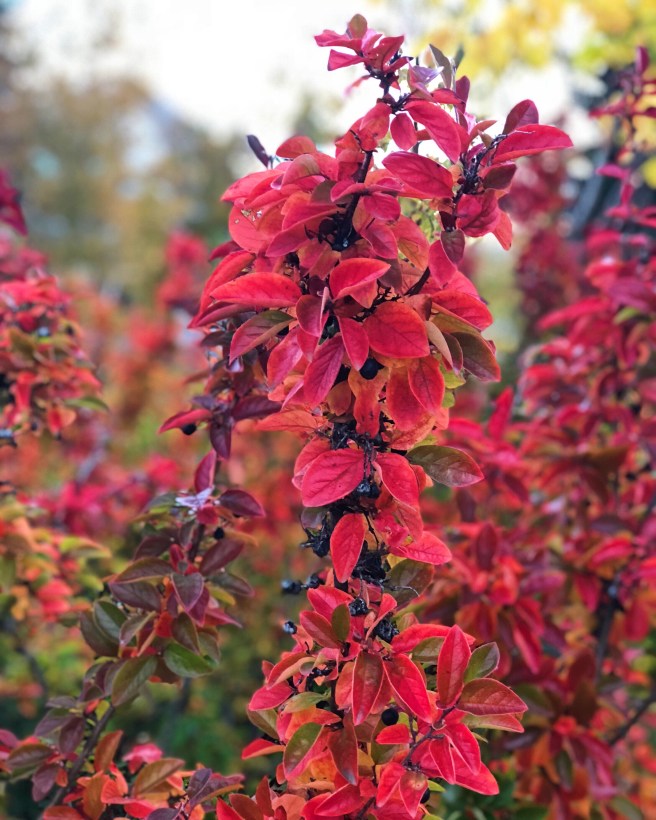 471bae31-710e-438c-b035-4b3433ac7cc6