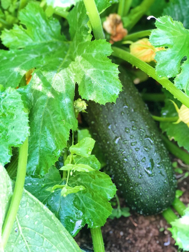 4b7889f4-5aec-4986-ad54-fb31d1c9ad47-1