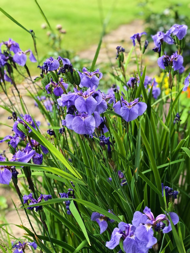 565121ac-5f23-4ff0-a1fd-ccefb3980676