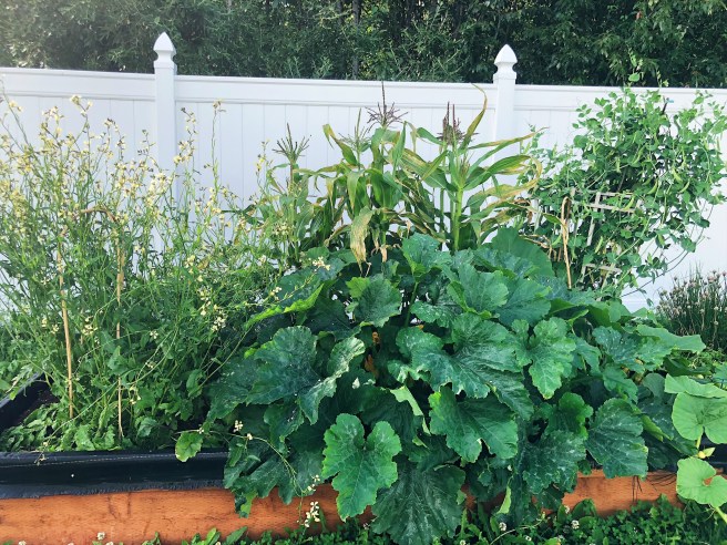 574ecb5c-bffe-4656-a380-48cbc1913353