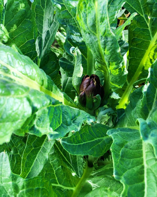 6267d6db-29c3-449d-a683-b9719c30e269