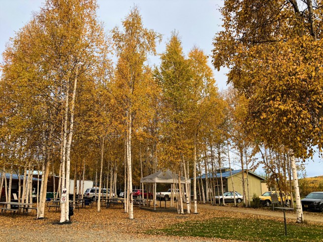 68b4616d-9e47-4ca4-a704-633ea29f1c50