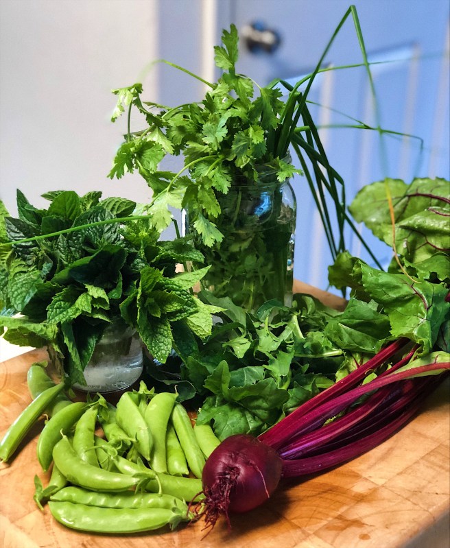 86e1050b-05c9-4e58-b9b7-633d9290638c-1