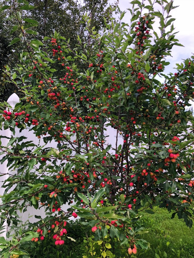 8e962e27-125e-4c51-b80a-1a3a3cac41d9