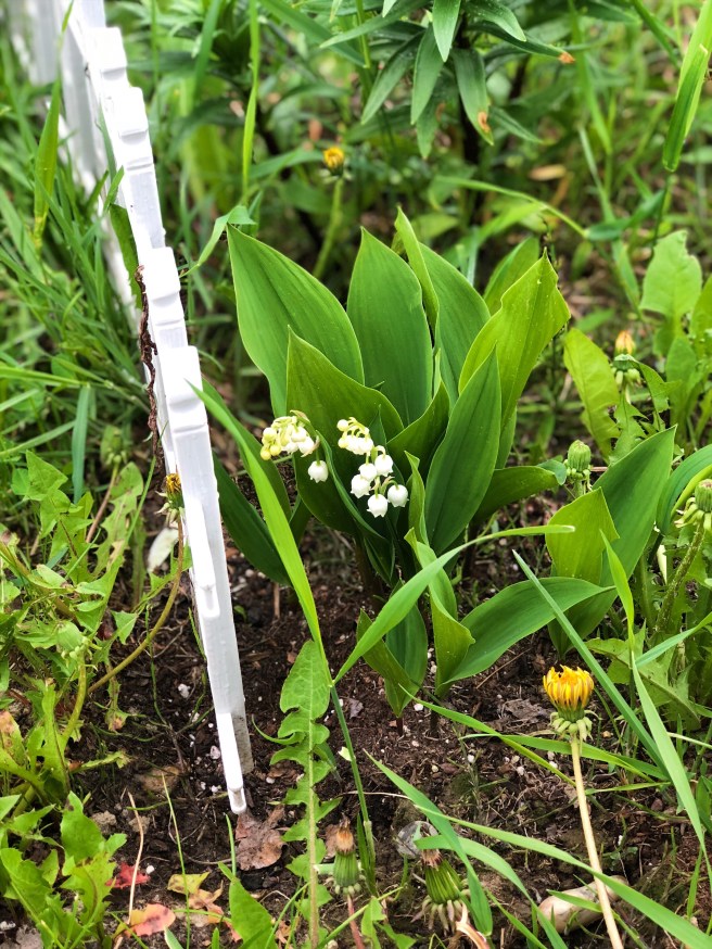 a0a7324f-ce55-45e3-9af8-10b53099ba43-1