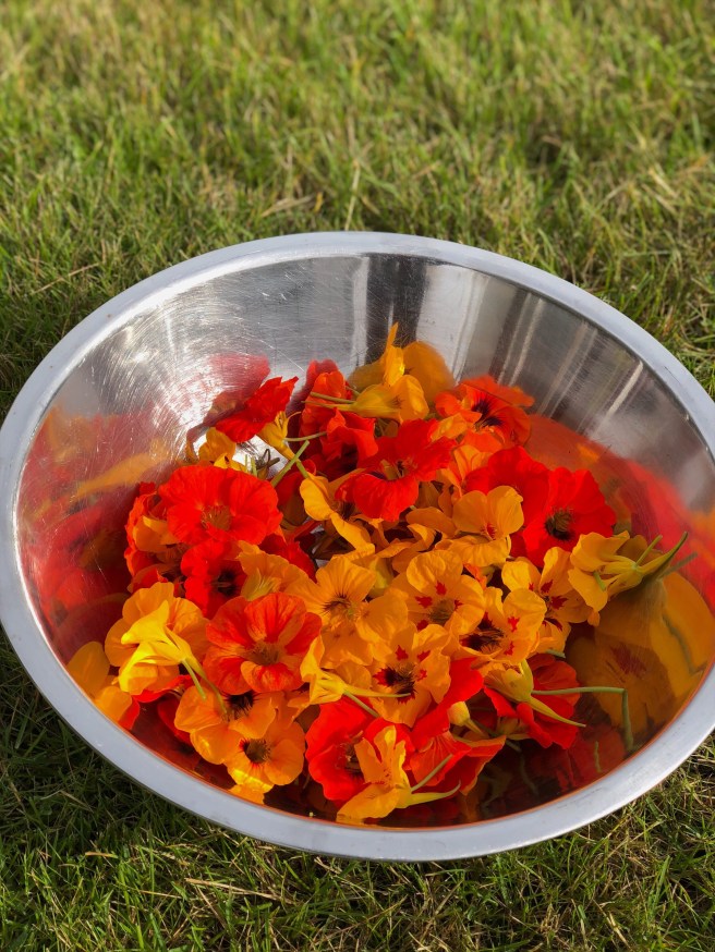 b14fb42d-a573-46d7-b9d6-16fa3ecd0f90