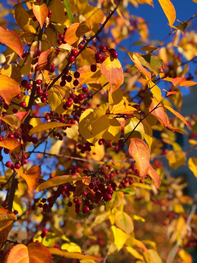 b42c36b3-07a1-438d-b733-147ea507c16f