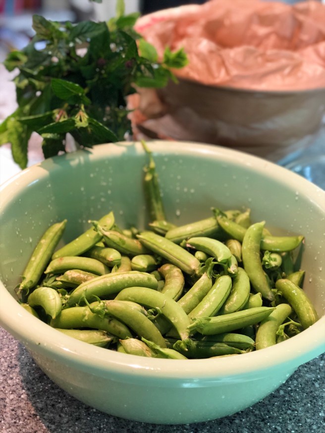 c7464bdc-9deb-4f24-97d0-2295f01b529b-1