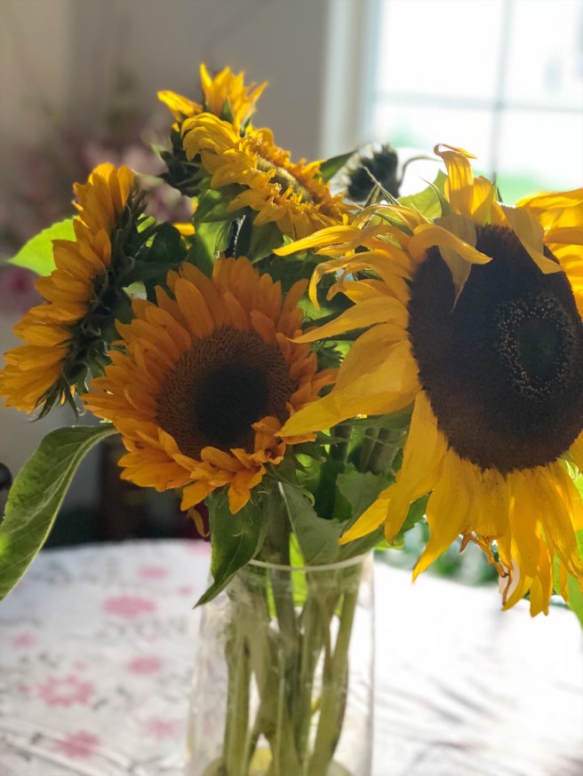 d04667ce-4fd8-4849-8ed4-ad609411642c