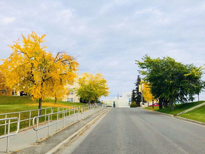 d7ea72e9-50ce-4eea-a8e9-ff35ef32930e