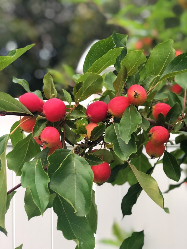 d8342ce2-af99-4b94-85f1-9fac2c1190b0