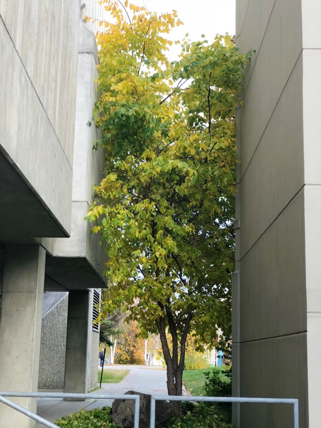 7aa4080f-f1c3-41de-a37e-8459e950f4a0