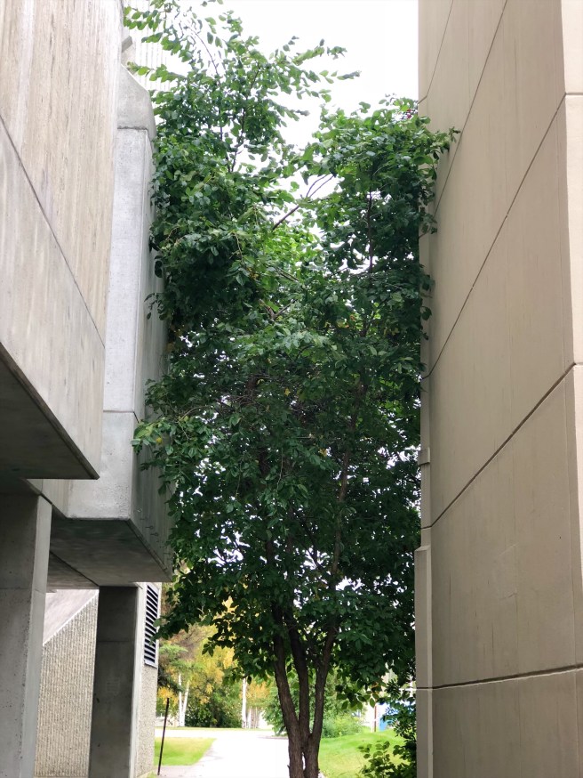 9351b285-59bc-40ba-9781-0cac13f7b790