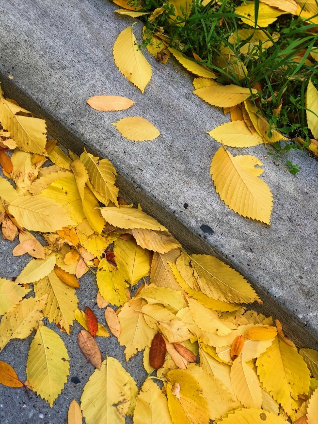 a364e55f-86a1-483f-a7d8-abc4b2c688da