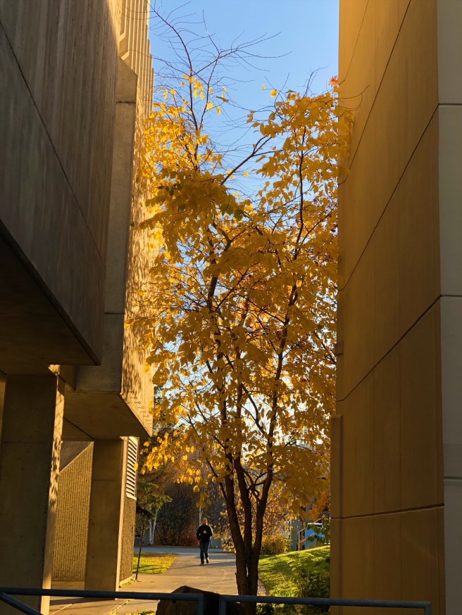 ee828d1f-fffd-4012-bd5f-76987a7c3ff8