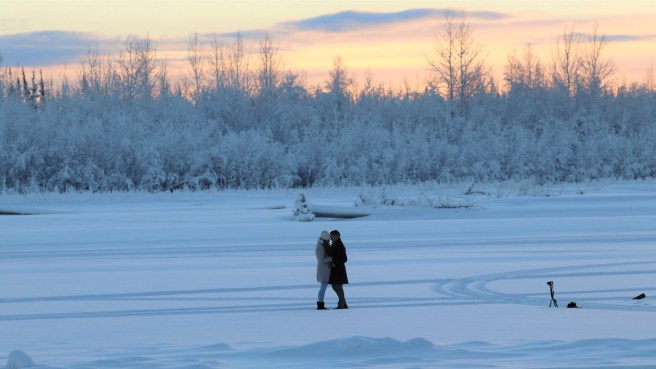 d1e79e5f-41db-4173-b833-45e8eec0973e