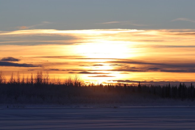 d8c5f39e-4e37-41fe-a875-59918ccdfcae