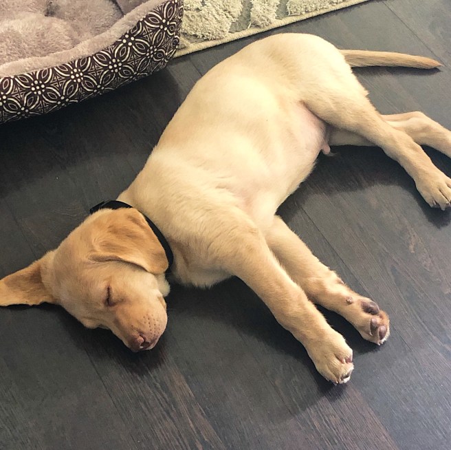 025d1f54-b5d4-4688-85ae-e9db9dc31045