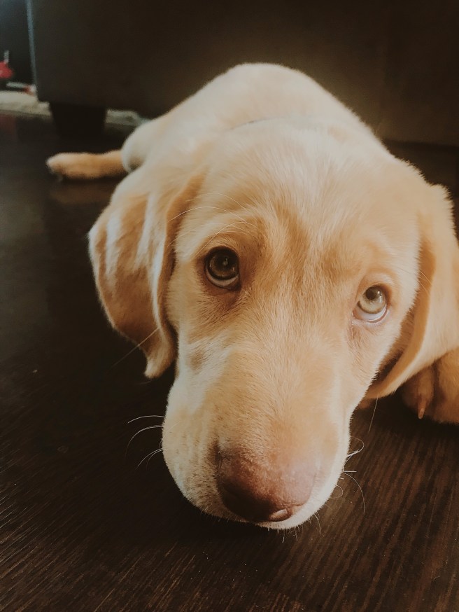 Processed with VSCO with m5 preset