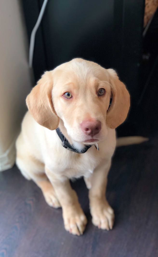 2563fdcf-d997-4152-b985-9ce1d5edd3c3