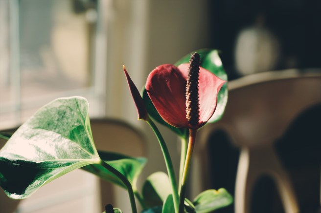 Processed with VSCO with e7 preset