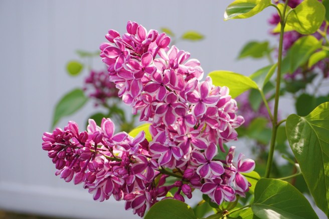 cb91dca5-1786-4dc6-b1b4-6a1cff4907e3