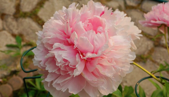 00edde05-7251-4fbb-be08-7faa1fe299f5