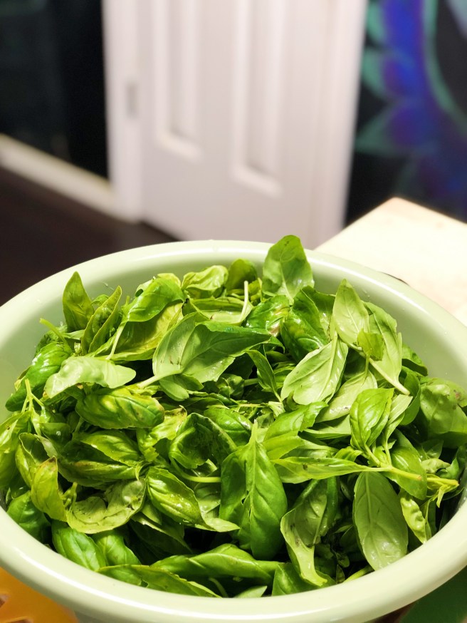 034ba159-e8d0-45d4-a7db-f6edb923c6e4