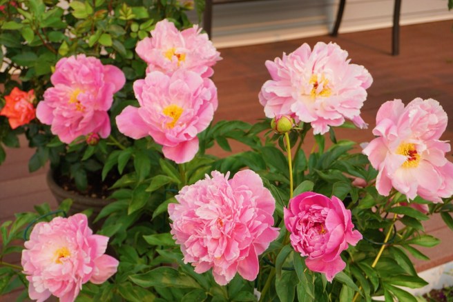 2ab761b7-a7c2-4aa1-a91b-0a363350d716