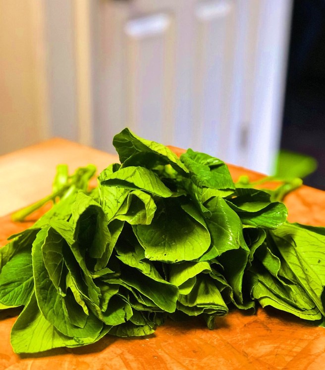 41876b52-e292-4f89-b597-9d50cdc8f6f9