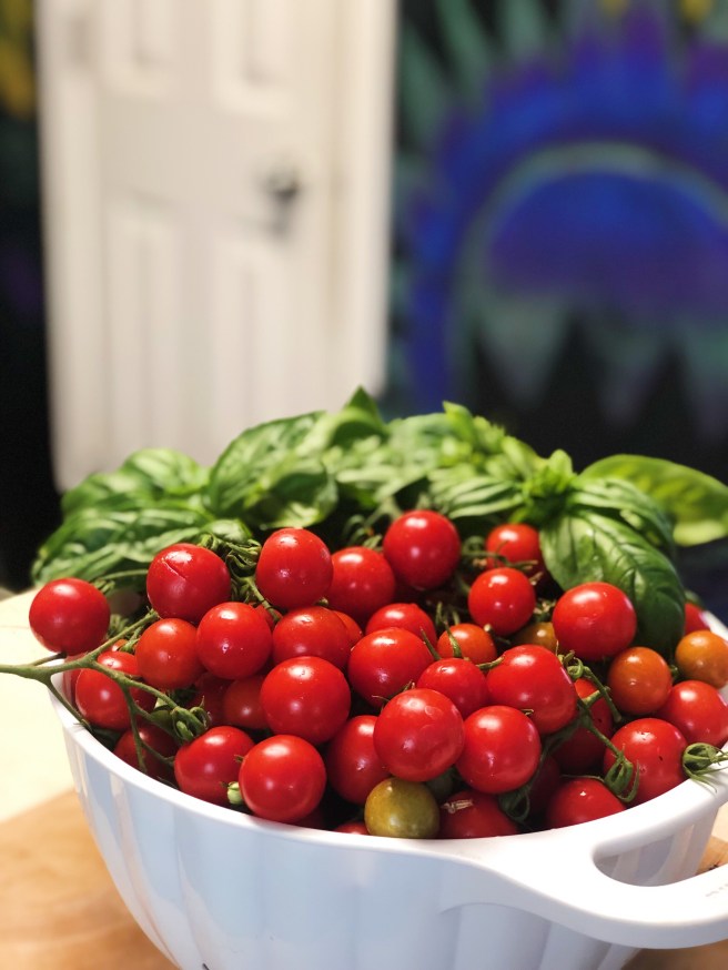 4a77b34d-87a3-4184-b9b4-e3a7b4a7ffda